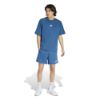 Picture of Stadium Mesh Shorts