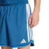 Picture of Stadium Mesh Shorts