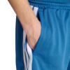 Picture of Stadium Mesh Shorts