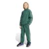 Picture of Adidas Minecraft Loose Joggers