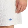 Picture of Printed Seersucker Shorts
