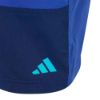 Picture of Kids Turquoise Colorblock Swim Shorts