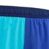 Picture of Kids Turquoise Colorblock Swim Shorts