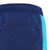 Picture of Kids Turquoise Colorblock Swim Shorts