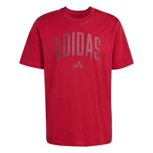 Picture of Collegiate Lineage Graphic T-Shirt