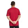 Picture of Collegiate Lineage Graphic T-Shirt