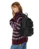 Picture of Padded Dbl S Small Backpack