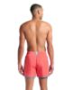 Picture of Team Stripe Beach Shorts