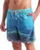 Picture of Water Prints Beach Shorts