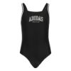 Picture of Collegiate C-Back Swimsuit Juniors