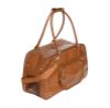 Picture of Pet Shoulder Bag Carrier 31 L