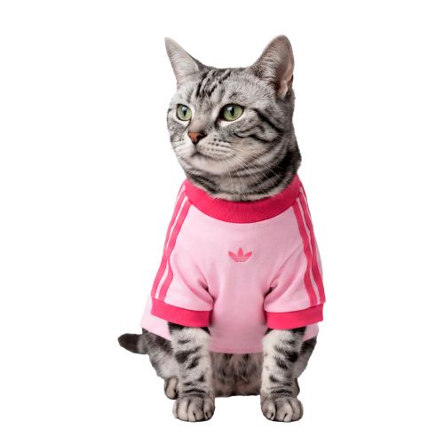 Picture of Pet Cali Tee