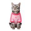 Picture of Pet Cali Tee