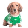 Picture of Pet Cali Tee
