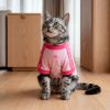 Picture of Pet Cali Tee
