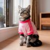 Picture of Pet Cali Tee