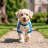 Picture of Pet Cali Tee