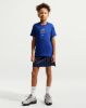 Picture of Kids Paris Saint-Germain Football T-Shirt
