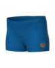 Picture of Boys Side Logo Swim Shorts