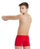Picture of Boys Team Swim Shorts