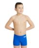 Picture of Boys Team Swim Shorts
