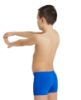 Picture of Boys Team Swim Shorts