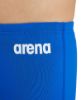 Picture of Boys Team Swim Shorts