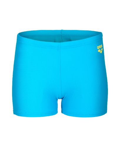 Picture of Boys Dynamo Swim Shorts