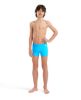 Picture of Boys Dynamo Swim Shorts