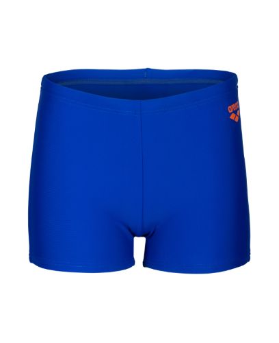 Picture of Boys Dynamo Swim Shorts