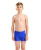 Picture of Boys Dynamo Swim Shorts