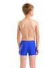 Picture of Boys Dynamo Swim Shorts