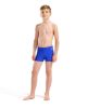 Picture of Boys Dynamo Swim Shorts