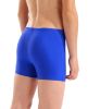 Picture of Boys Dynamo Swim Shorts