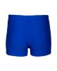 Picture of Boys Dynamo Swim Shorts