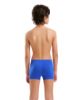 Picture of Boys Bright Swim Shorts