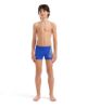 Picture of Boys Bright Swim Shorts