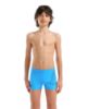 Picture of Boys Bright Swim Shorts