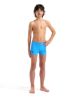Picture of Boys Bright Swim Shorts