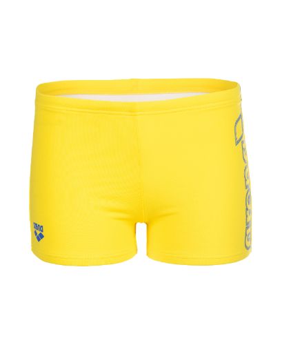 Picture of Boys Logo Swim Shorts