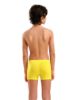 Picture of Boys Logo Swim Shorts