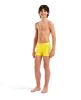 Picture of Boys Logo Swim Shorts