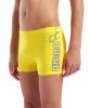 Picture of Boys Logo Swim Shorts