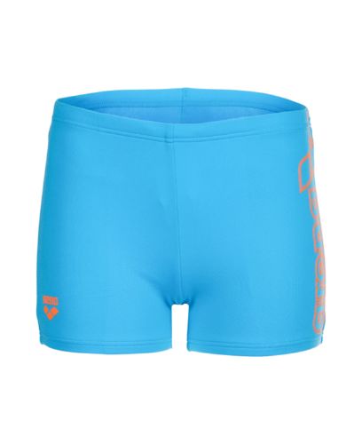 Picture of Boys Logo Swim Shorts