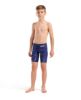 Picture of Boys Fireflow Swim Jammer