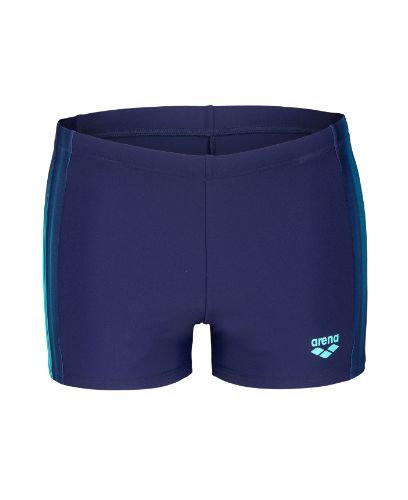 Picture of Light Swim Shorts