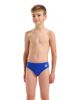 Picture of Boys Bright Swim Shorts