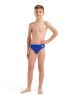 Picture of Boys Bright Swim Shorts