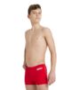 Picture of Boys Team Swim Shorts