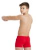 Picture of Boys Team Swim Shorts